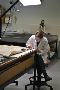 Hard at work in the Conservation Studio.