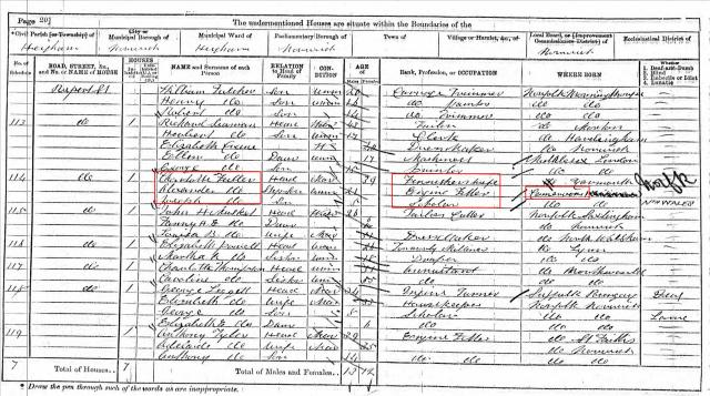 1871 census
