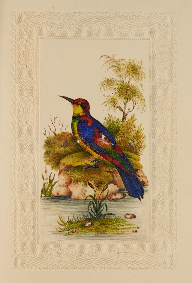 BOL 4.27 741X6#004 cropped