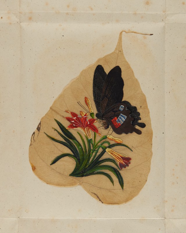 BOL 4.37#007 cropped