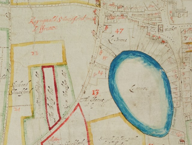 close up of Diss mere (mc 2382-1) ver 3