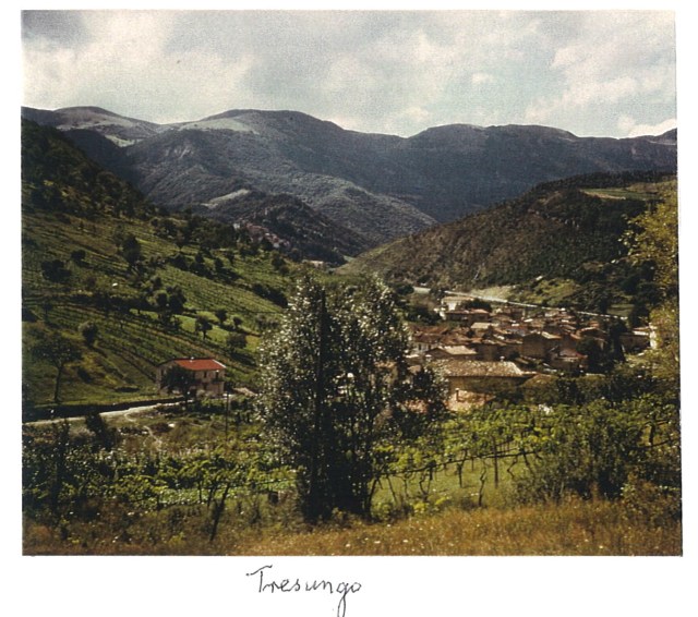 Tresungo