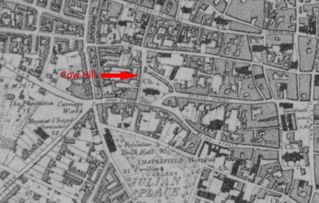 OS map- Cow Hill-edit