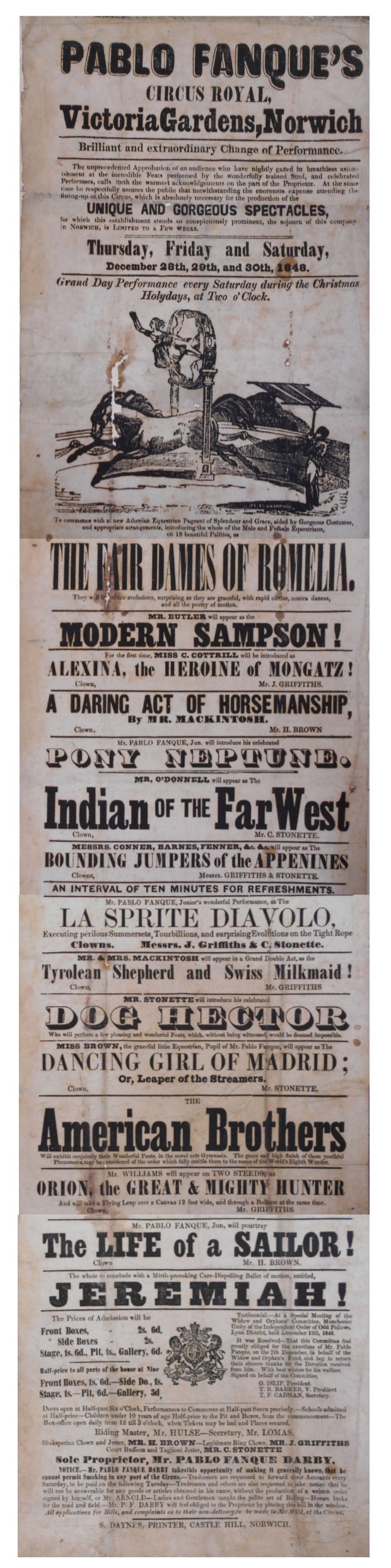 The Fair Dames of Romelia NHC