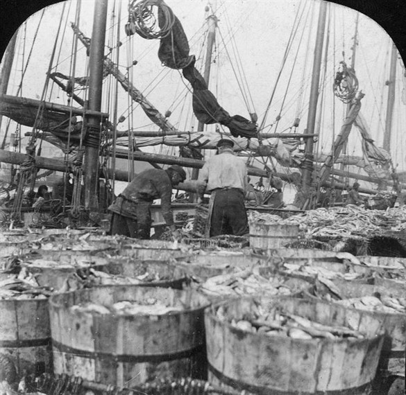 UOSH Yarmouth fishing