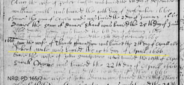 Image 5 PD 165_2 Bur